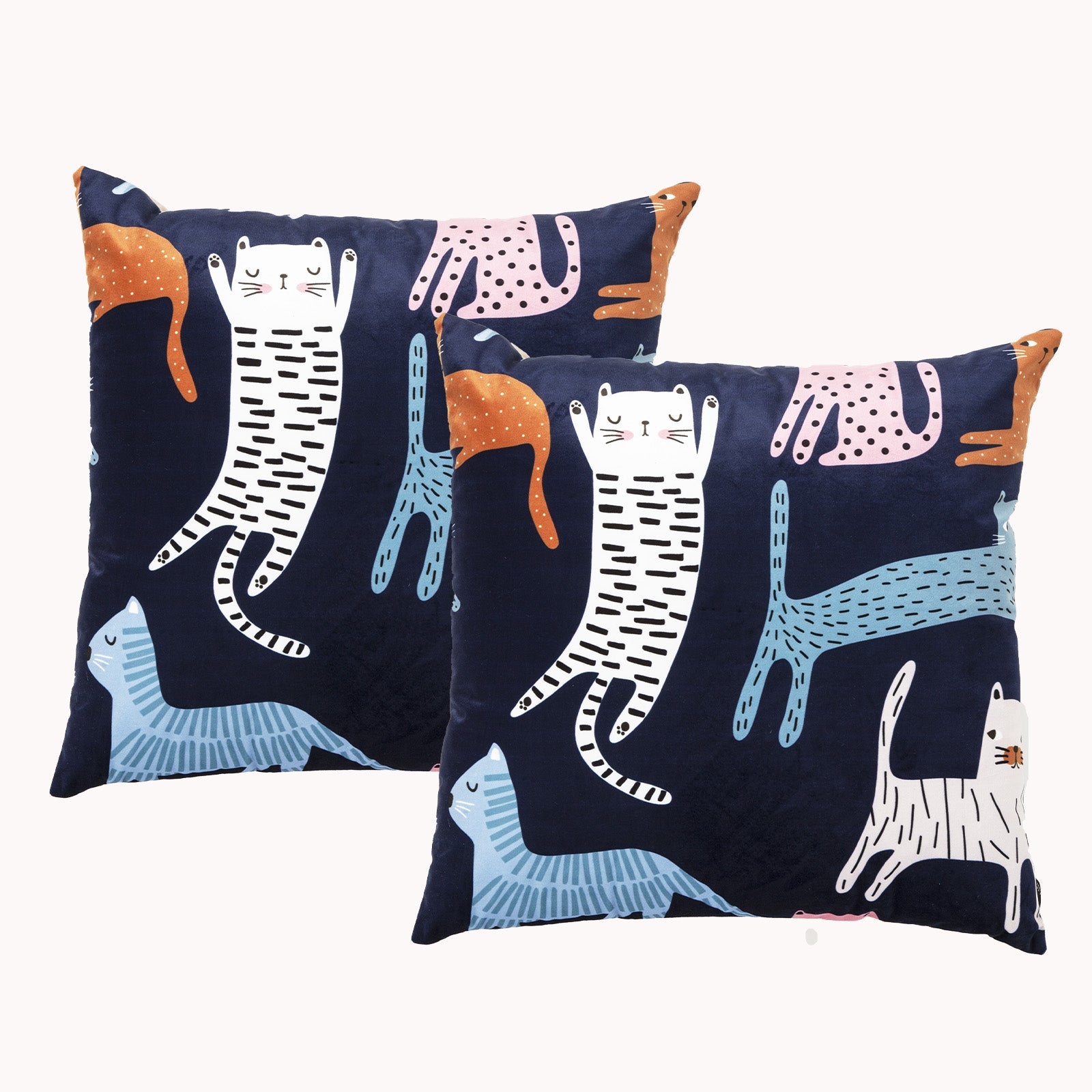 NNEDSZ Misty Cat Twin Pack Poly Velvet Printed Cushion by Renee Taylor-0