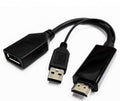 NNEDSZ 8WARE HDMI to DisplayPort DP Male to Female with USB (for power) Adapter Cable-0